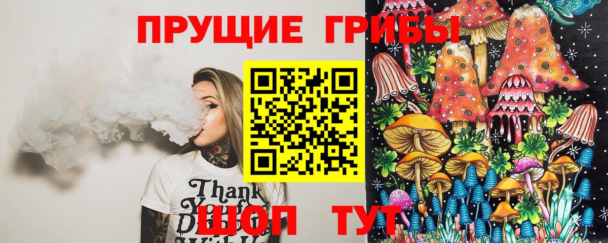 Галлюциногенные грибы Psilocybe Одинцово